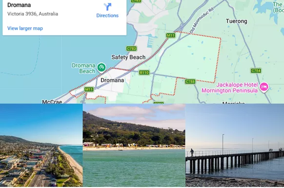 Pest Control Services Dromana